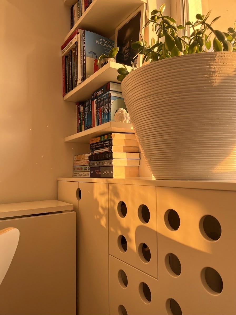 Bookshelf with jade plant, circle cabinet doors and shadow below