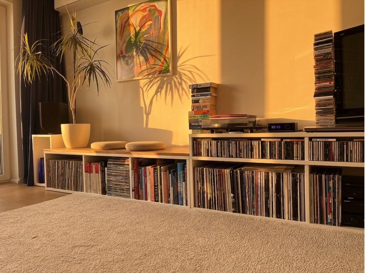 Media console holding the record and CD collection, artwork and plant shadow on the wall